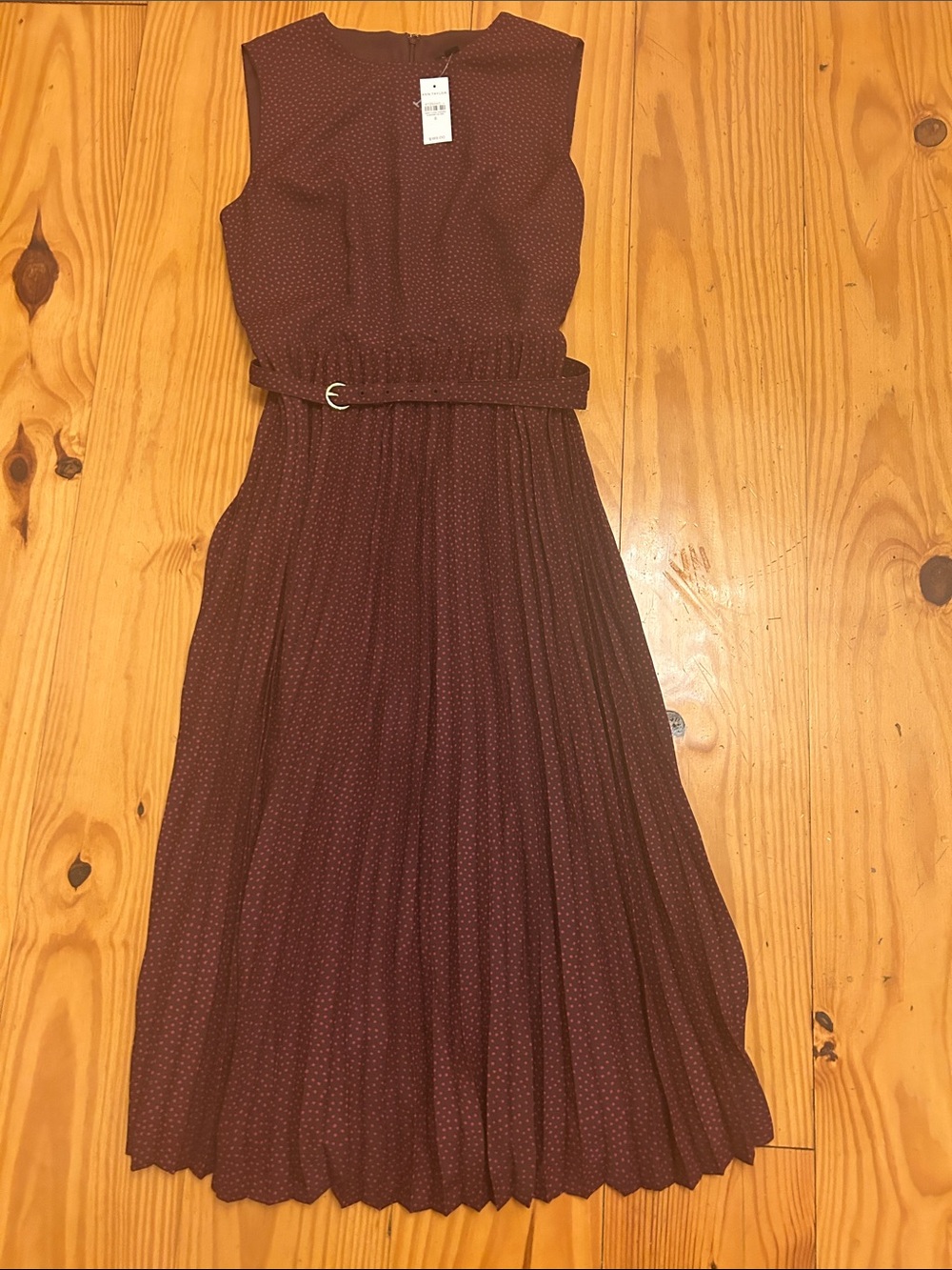 Ann Taylor Burgundy Sleeveless Pleated Maxi Dress